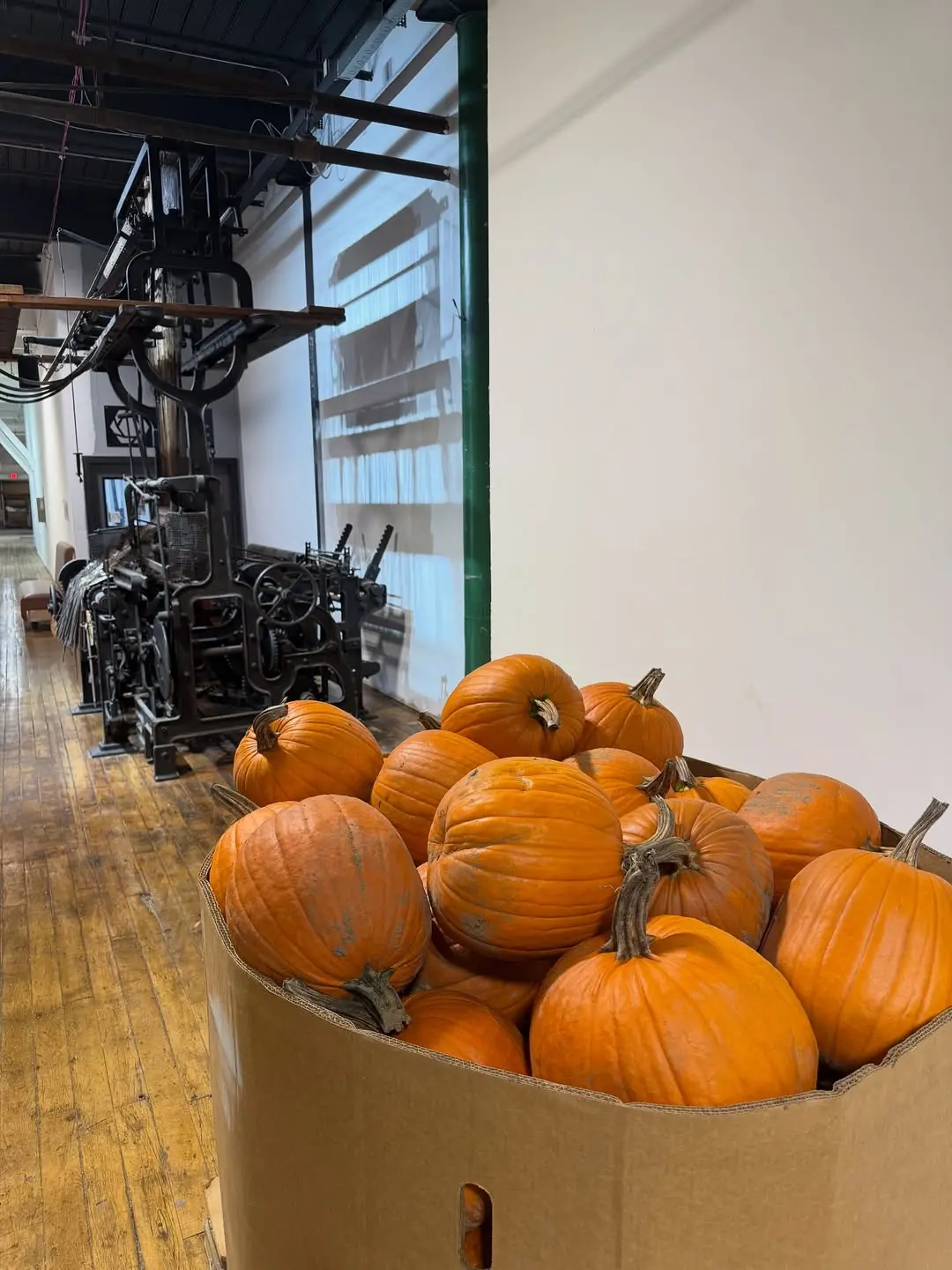 Pumpkin contest winners